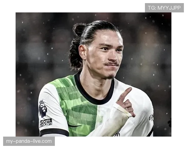 努涅斯的成长路径与质疑：从南美新星到英超焦点的适应挑战